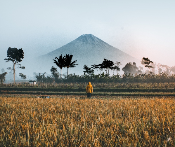 Introducing PURE Indonesia's Collaboration with Draslovka Group
