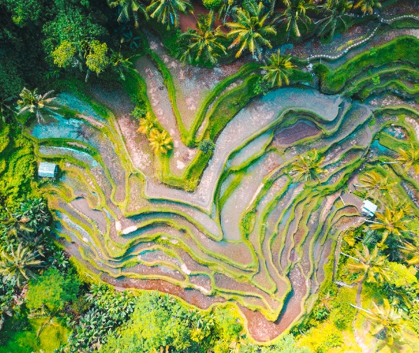 Commitment to Sustainability: Aligning Environmental Goals with Business Excellence